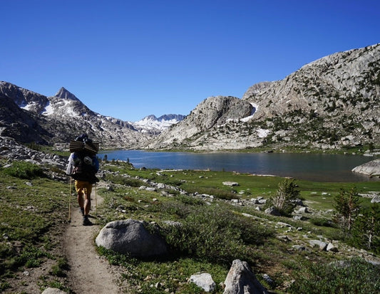 各SNSの状況に関しまして