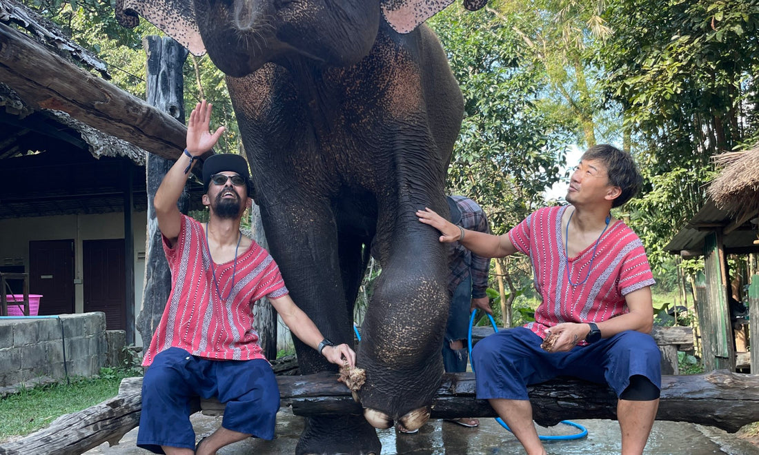 Doi Inthanon Thailand 2022 by UTMB 遠征