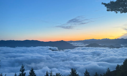 The Murazakai Trail Totsukawa