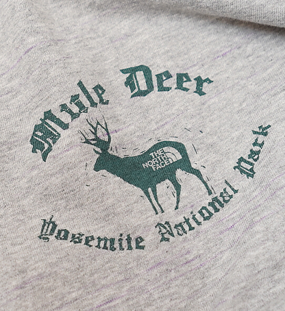 【THE NORTH FACE PURPLE LABEL】ノースフェイスパープルレーベル men's L/S Graphic Tee "2Color"