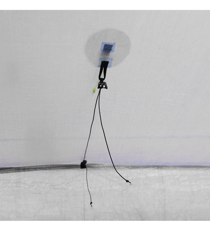 【Zpacks】ゼットパックス Plex Solo Classic Tent "3Color"