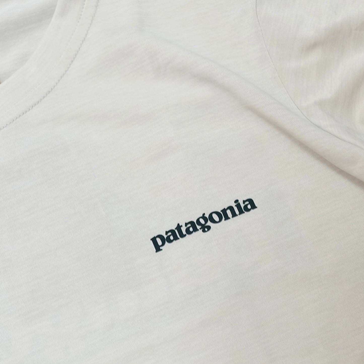 【patagonia】パタゴニア women's Long-Sleeved Capilene Cool Daily Shirt (Boardshort Logo) ※ネコポス可