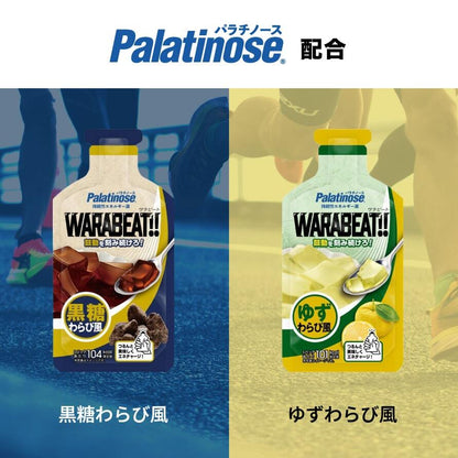 【Palatinose】パラチノース WARABEAT!! ワラビート!! ネコポス可