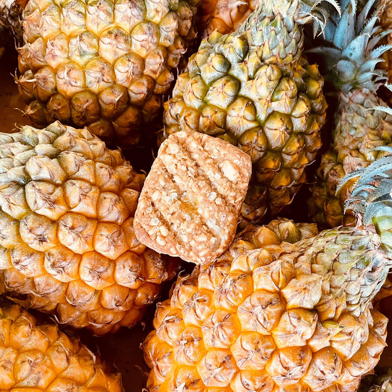 【MANABAR】 マナバー  9種類　※ネコポス可