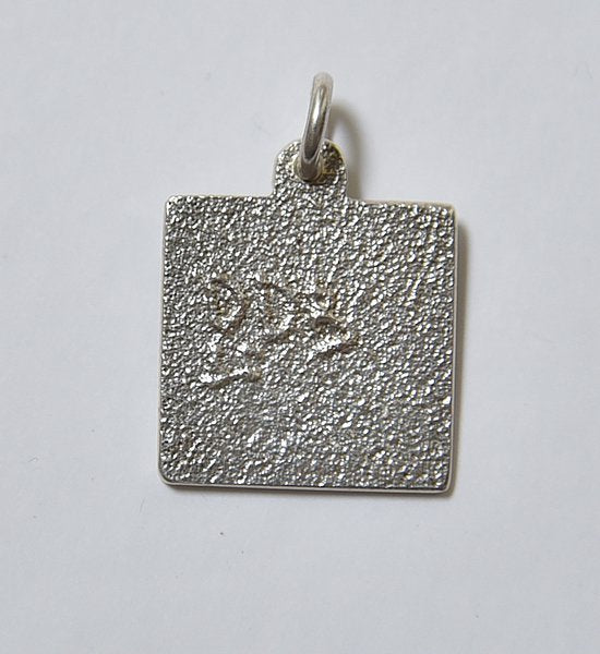 【Yosemite×Darryl Dean Begay】 山のお守り "Day&Night "2Color"